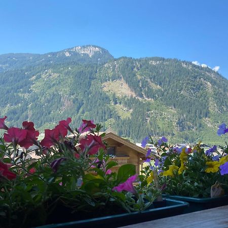 Pension Schwemberger Ohne Fruehstueck 迈尔霍芬 外观 照片